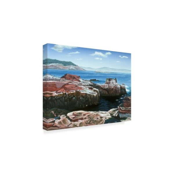 Rusty Frentner 'Rocky Coast' Canvas Art,24x32